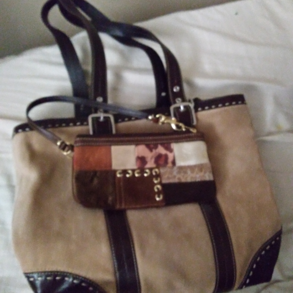 Coach purse and small bag